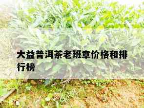 大益普洱茶老班章价格和排行榜