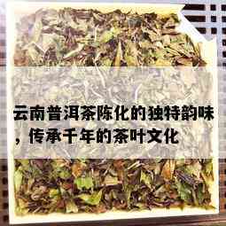 云南普洱茶陈化的独特韵味，传承千年的茶叶文化