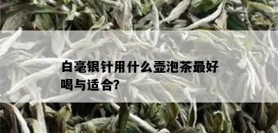 白毫银针用什么壶泡茶更好喝与适合？