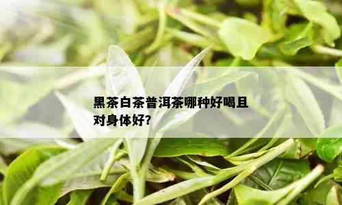 黑茶白茶普洱茶哪种好喝且对身体好？