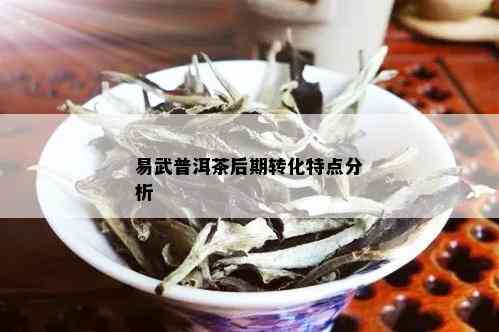 易武普洱茶后期转化特点分析