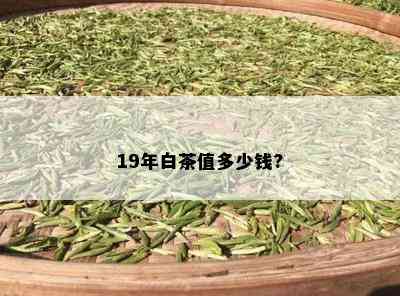 19年白茶值多少钱?