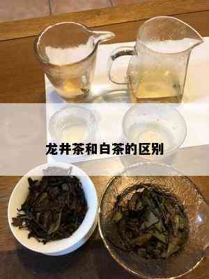 龙井茶和白茶的区别