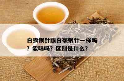 白露银针跟白毫银针一样吗？能喝吗？区别是什么？