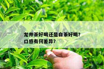 龙井茶好喝还是白茶好喝？口感有何差异？