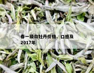 春一级白牡丹价格、口感及2017年