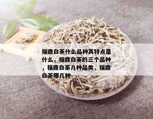 福鼎白茶什么品种其特点是什么，福鼎白茶的三个品种，福鼎白茶几种品类，福鼎白茶哪几种