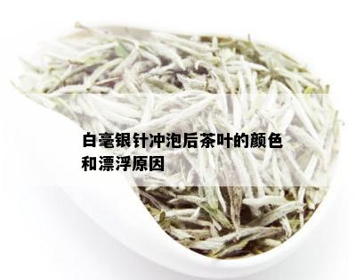 白毫银针冲泡后茶叶的颜色和漂浮原因