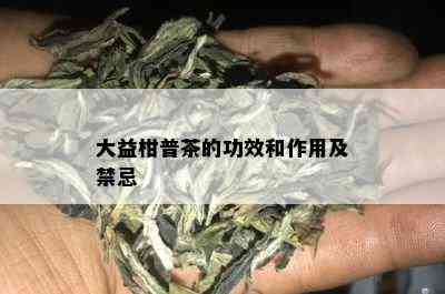 大益柑普茶的功效和作用及禁忌