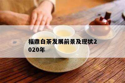 福鼎白茶发展前景及现状2020年