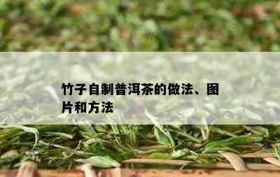 竹子自制普洱茶的做法、图片和方法