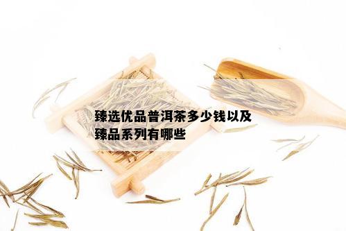 臻选优品普洱茶多少钱以及臻品系列有哪些