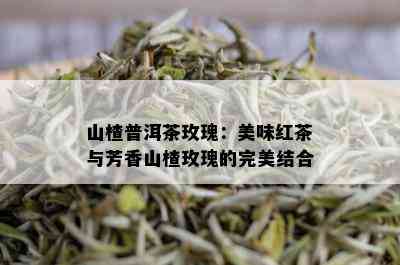 山楂普洱茶玫瑰：美味红茶与芳香山楂玫瑰的完美结合