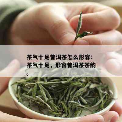 茶气十足普洱茶怎么形容：茶气十足，形容普洱茶茶韵。