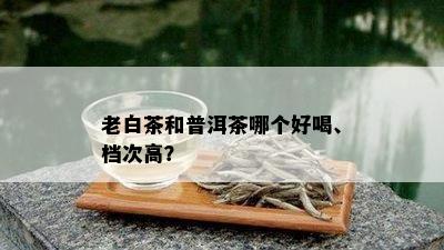 老白茶和普洱茶哪个好喝、档次高？