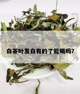 白茶叶发白有的了能喝吗？