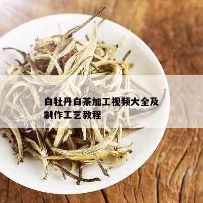 白牡丹白茶加工视频大全及制作工艺教程