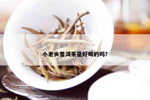 小老头普洱茶是好喝的吗？