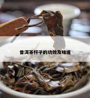 普洱茶杆子的功效及味道