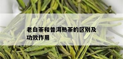 老白茶和普洱熟茶的区别及功效作用