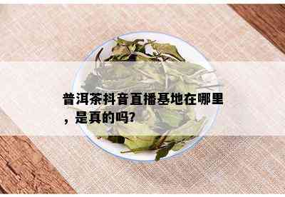 普洱茶抖音直播基地在哪里，是真的吗？