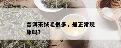 普洱茶绒毛很多，是正常现象吗？