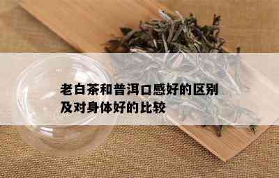 老白茶和普洱口感好的区别及对身体好的比较