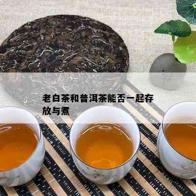 老白茶和普洱茶能否一起存放与煮