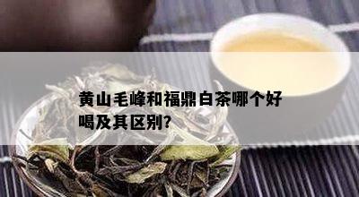 黄山毛峰和福鼎白茶哪个好喝及其区别？