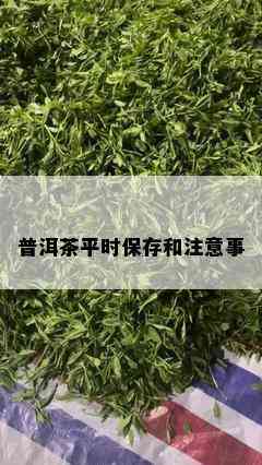 普洱茶平时保存和注意事