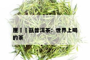 厘簠罍瓿普洱茶：世界上喝的茶