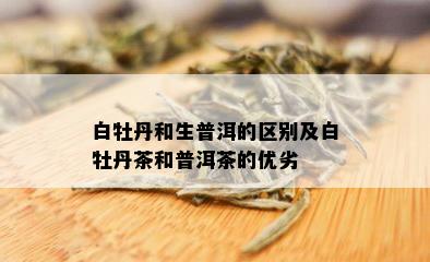 白牡丹和生普洱的区别及白牡丹茶和普洱茶的优劣