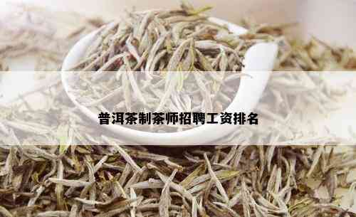 普洱茶制茶师招聘工资排名