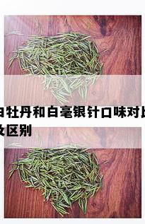 白牡丹和白毫银针口味对比及区别