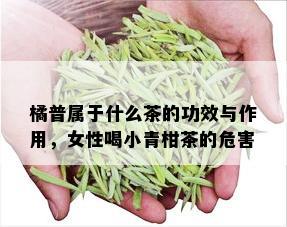 橘普属于什么茶的功效与作用，女性喝小青柑茶的危害