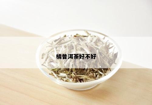 橘普洱茶好不好