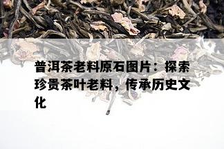 普洱茶老料原石图片：探索珍贵茶叶老料，传承历史文化