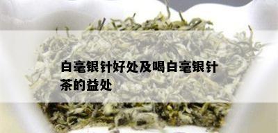 白毫银针好处及喝白毫银针茶的益处