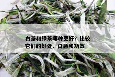 白茶和绿茶哪种更好？比较它们的好处、口感和功效