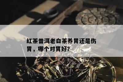 红茶普洱老白茶养胃还是伤胃，哪个对胃好？