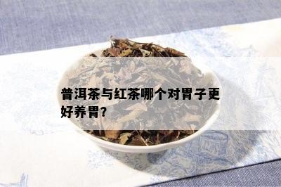 普洱茶与红茶哪个对胃子更好养胃？