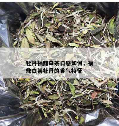 牡丹福鼎白茶口感如何，福鼎白茶牡丹的香气特征