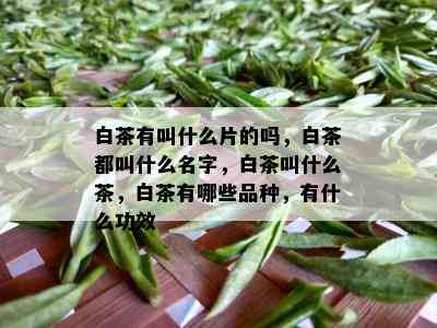 白茶有叫什么片的吗，白茶都叫什么名字，白茶叫什么茶，白茶有哪些品种，有什么功效