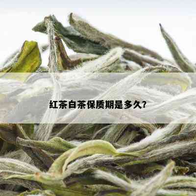 红茶白茶保质期是多久？