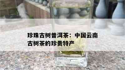 珍珠古树普洱茶：中国云南古树茶的珍贵特产