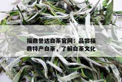 福鼎誉达白茶官网：品尝福鼎特产白茶，了解白茶文化