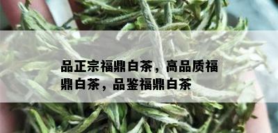 品正宗福鼎白茶，高品质福鼎白茶，品鉴福鼎白茶