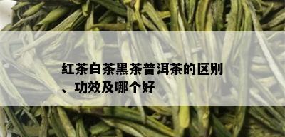 红茶白茶黑茶普洱茶的区别、功效及哪个好