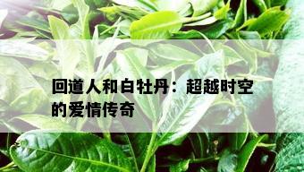 回道人和白牡丹：超越时空的爱情传奇