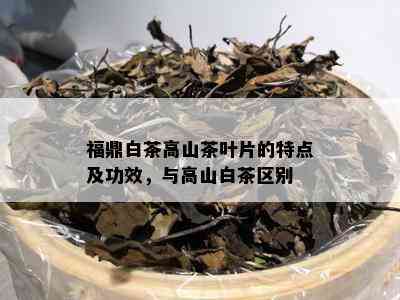 福鼎白茶高山茶叶片的特点及功效，与高山白茶区别